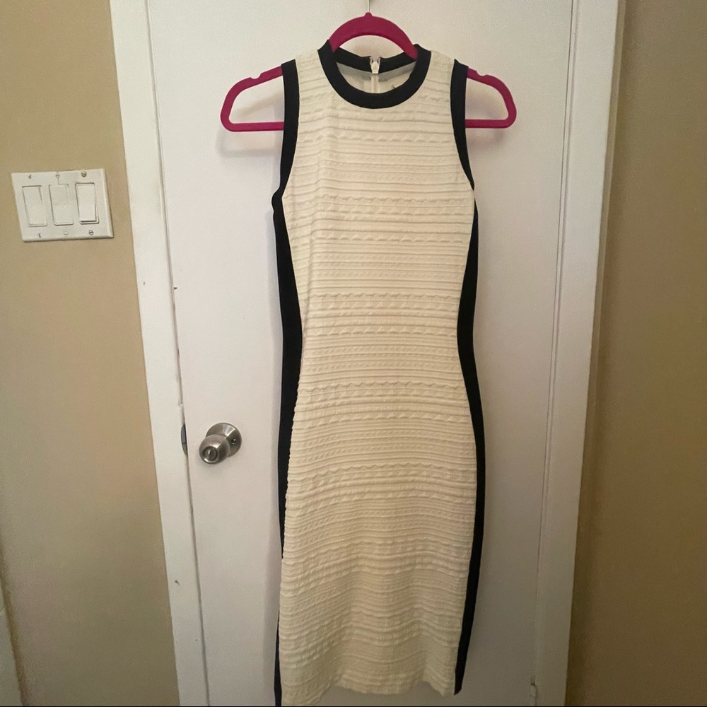 Form fitting black and white dress